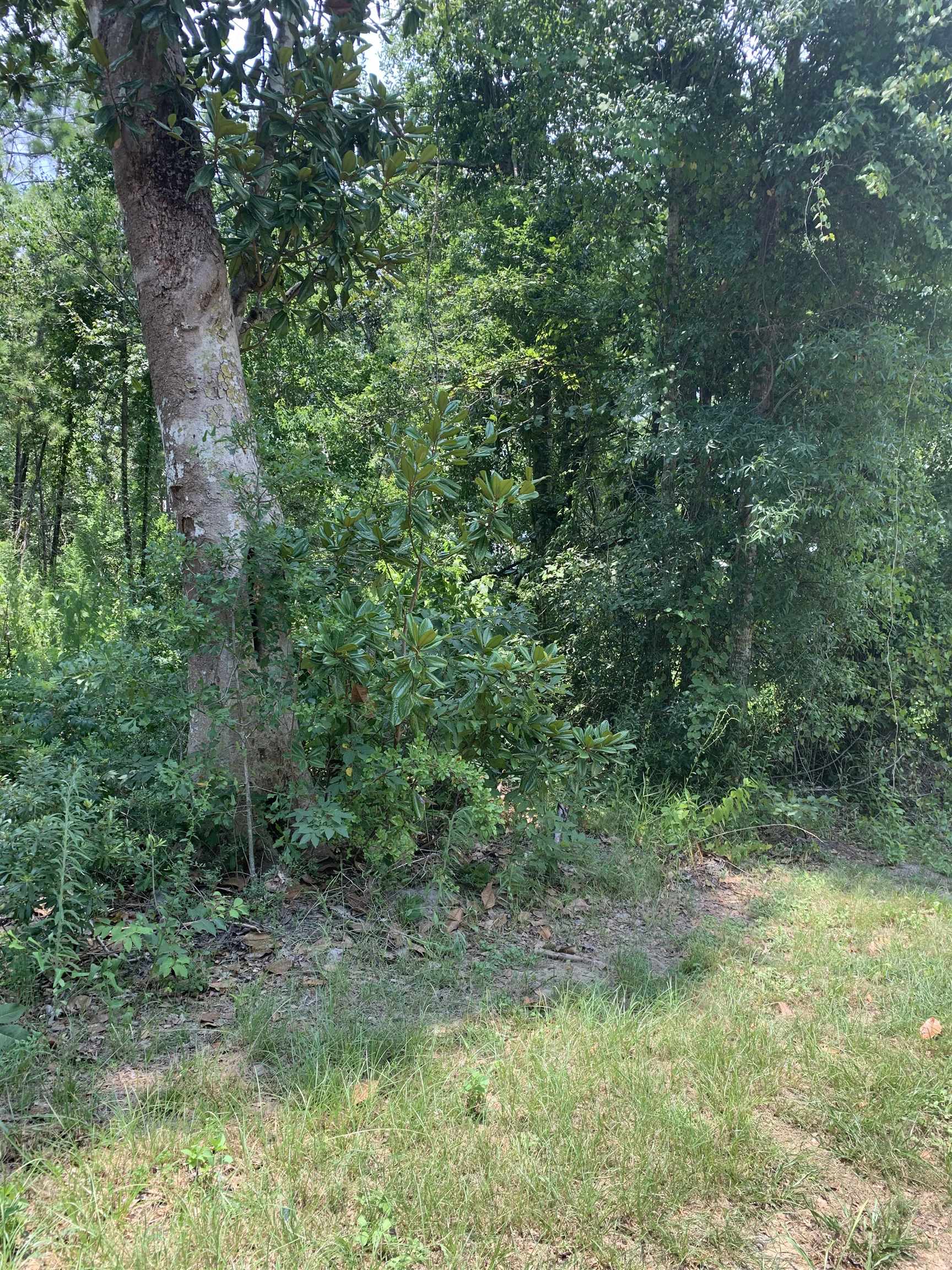 0 Pine Road Orange Beach, AL 36561 - Photo 2 of 3