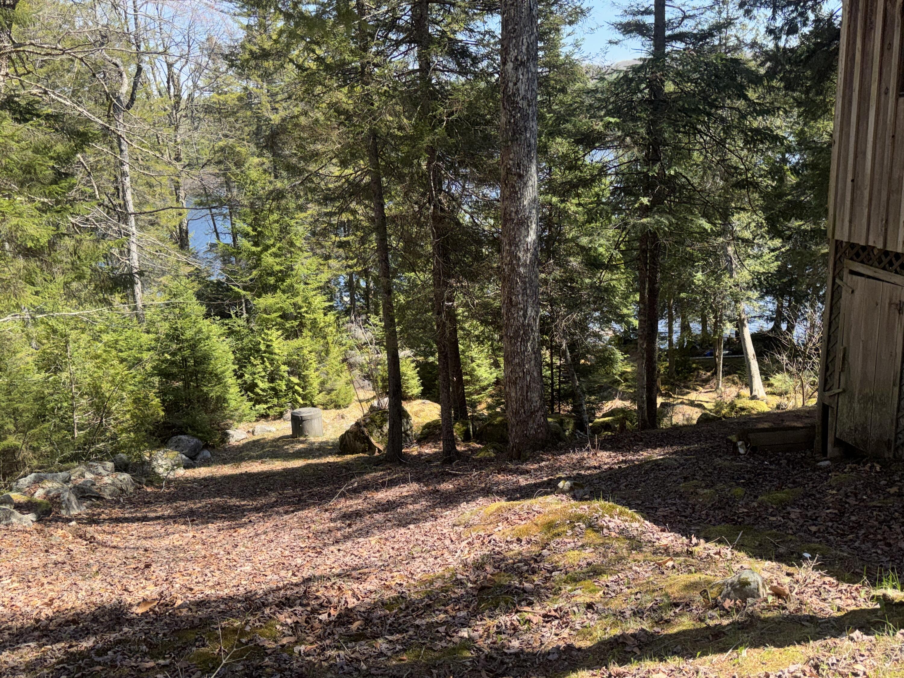 279 Carry Ridge Road Northfield, ME 04654 - Photo 11 of 26 IMG_3864