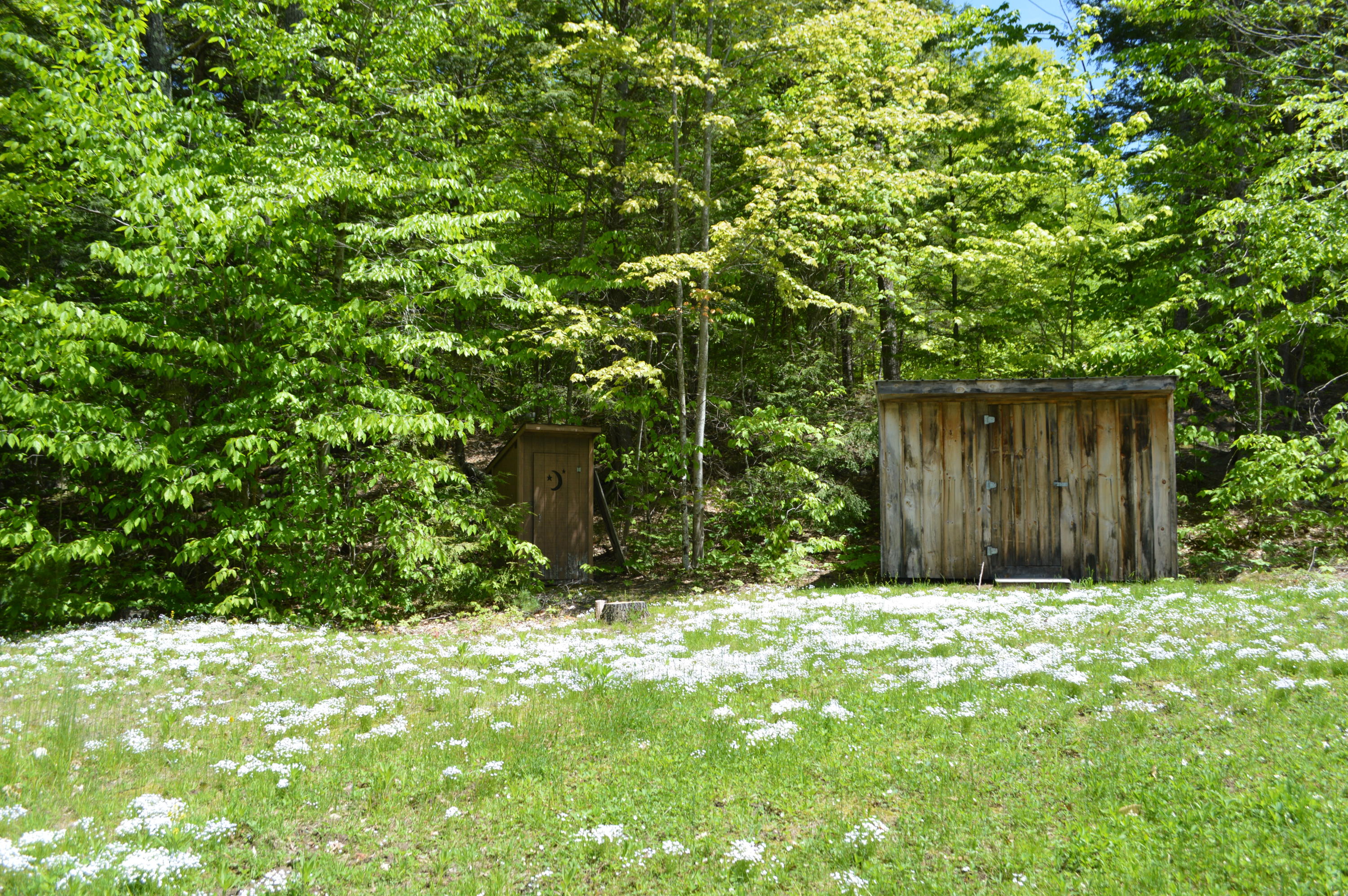 726 Sandy River Road Kents Hill, ME 04349 - Photo 41 of 69 Lawn