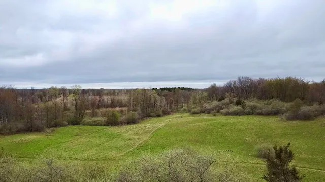 $3,699,999 | 3131 South Lapeer Road, Metamora, MI 48455