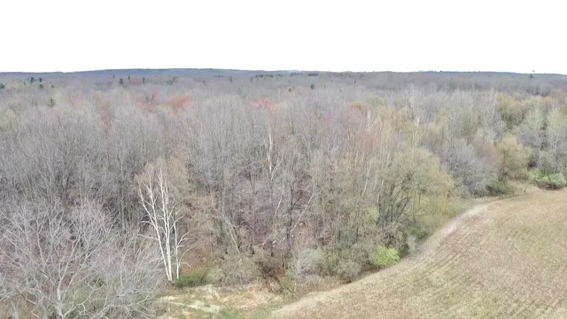 $3,699,999 | 3131 South Lapeer Road, Metamora, MI 48455