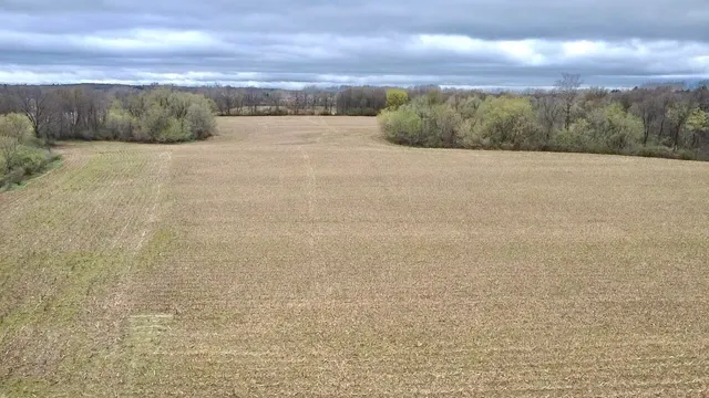 $3,699,999 | 3131 South Lapeer Road, Metamora, MI 48455