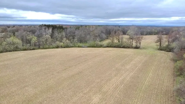 $3,699,999 | 3131 South Lapeer Road, Metamora, MI 48455