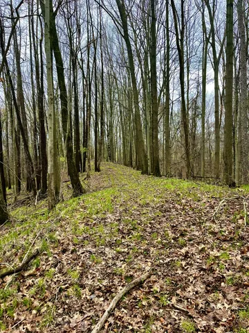 $3,699,999 | 3131 South Lapeer Road, Metamora, MI 48455