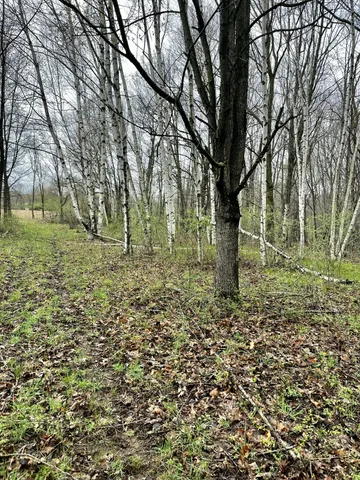 $3,699,999 | 3131 South Lapeer Road, Metamora, MI 48455