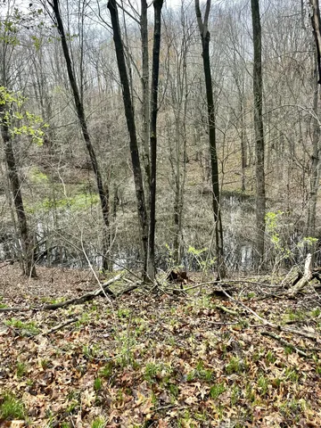 $3,699,999 | 3131 South Lapeer Road, Metamora, MI 48455