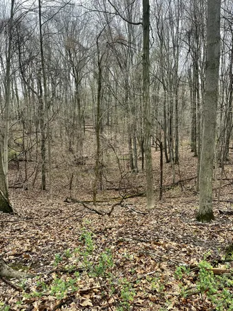 $3,699,999 | 3131 South Lapeer Road, Metamora, MI 48455