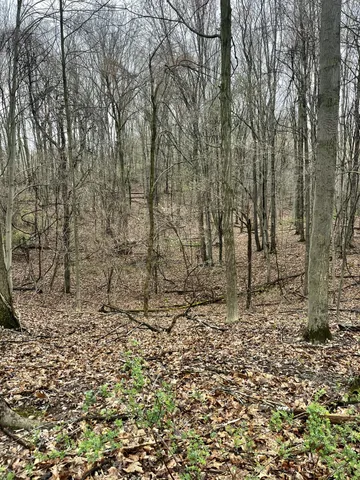 $3,699,999 | 3131 South Lapeer Road, Metamora, MI 48455