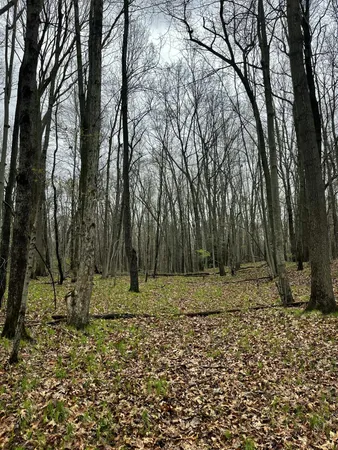 $3,699,999 | 3131 South Lapeer Road, Metamora, MI 48455