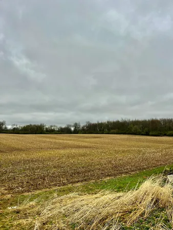 $3,699,999 | 3131 South Lapeer Road, Metamora, MI 48455