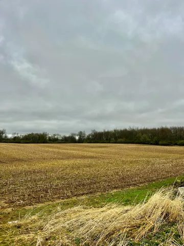 $3,699,999 | 3131 South Lapeer Road, Metamora, MI 48455