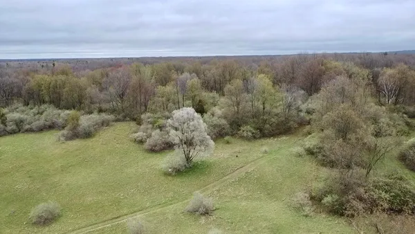 $3,699,999 | 3131 South Lapeer Road, Metamora, MI 48455