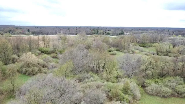 $3,699,999 | 3131 South Lapeer Road, Metamora, MI 48455