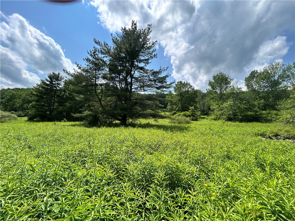 Lot 2 Oregon Road Gilbertsville, NY 13776 - Photo 4 of 7