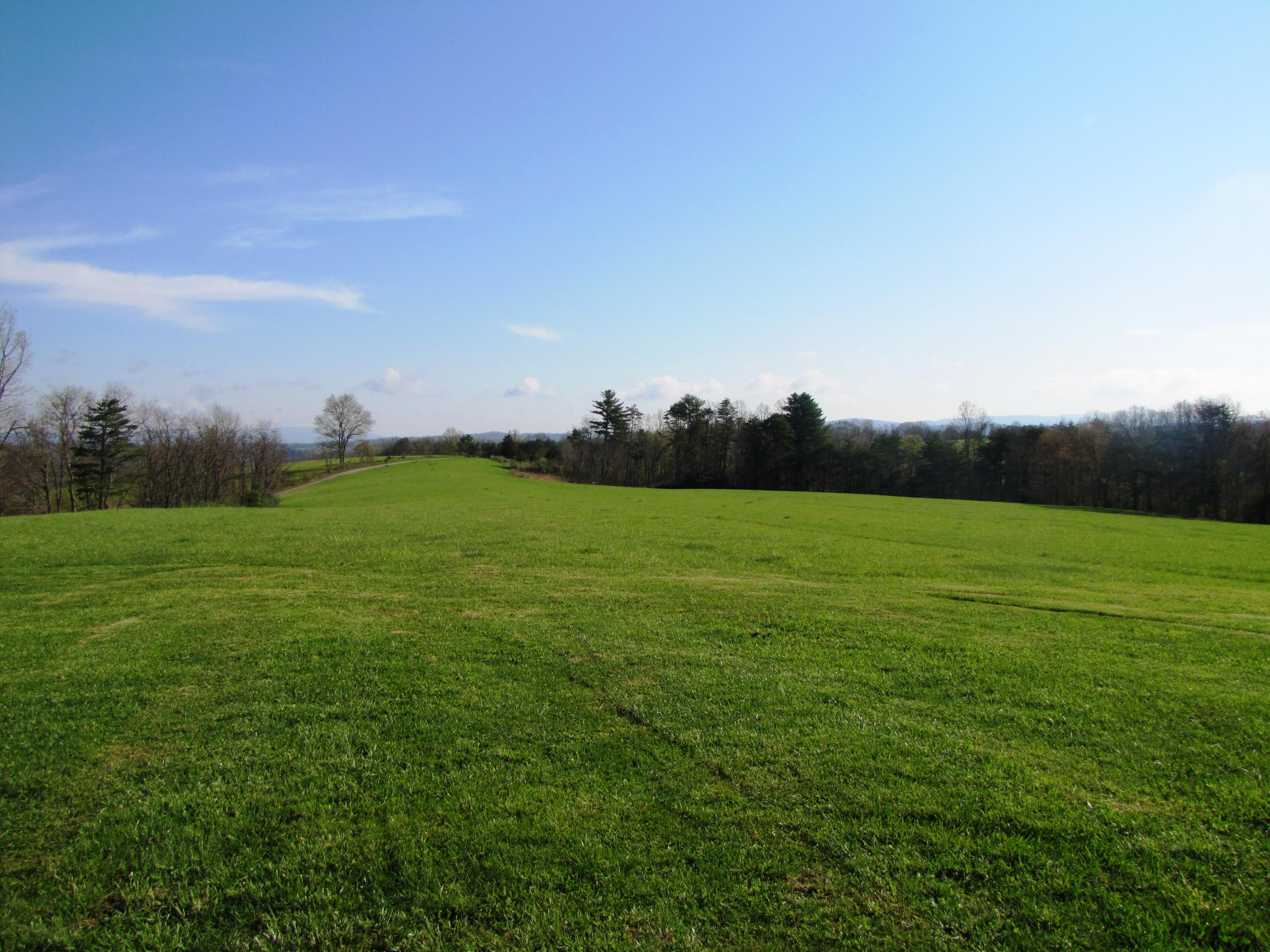 White Tree Hill Road Ballard, WV 24918 - Photo 16 of 36 Gallery Image 16
