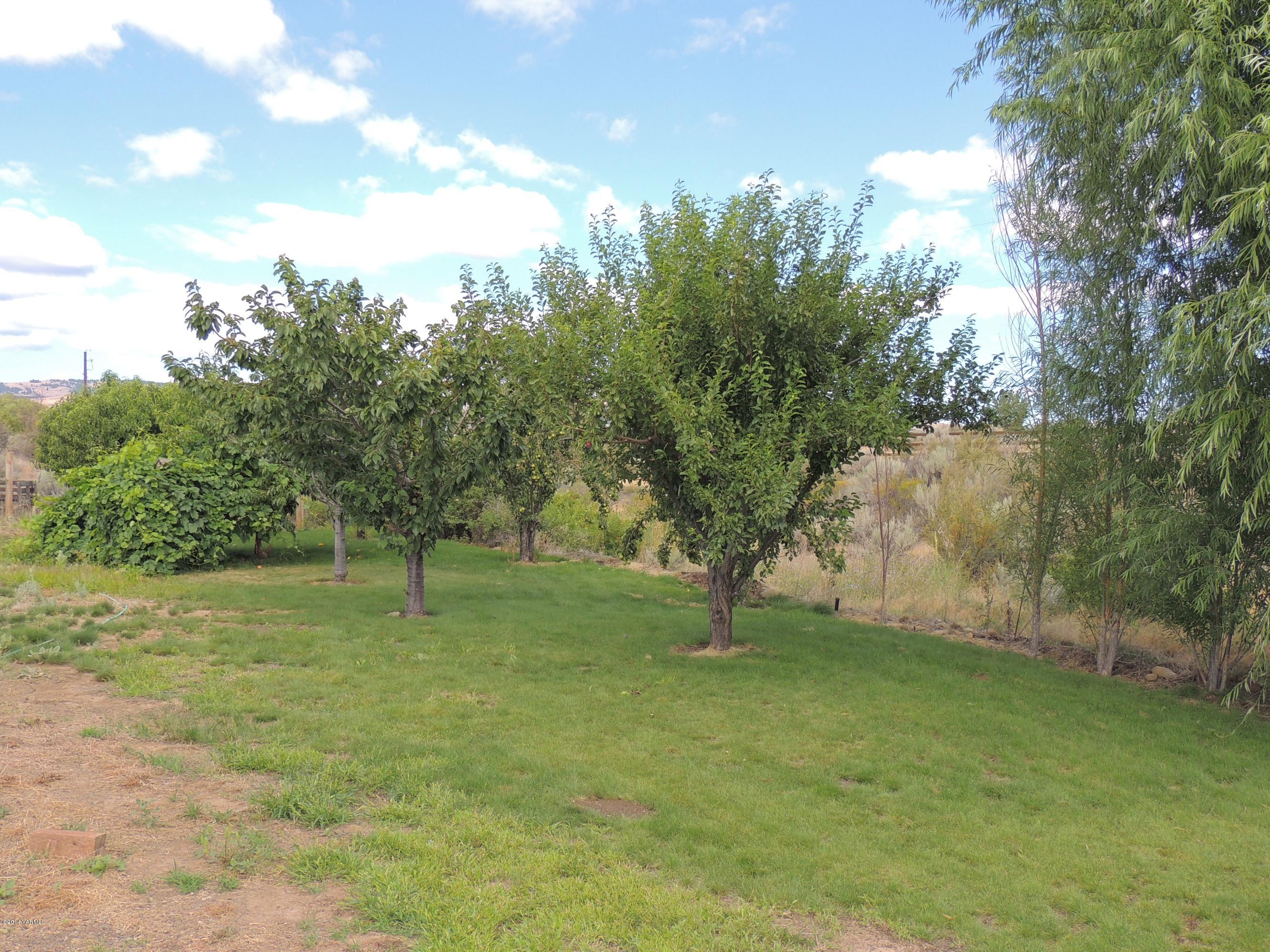 270 Red Tail Road Yakima, WA 98908 - Photo 31 of 69 a view of an outdoor space and yard