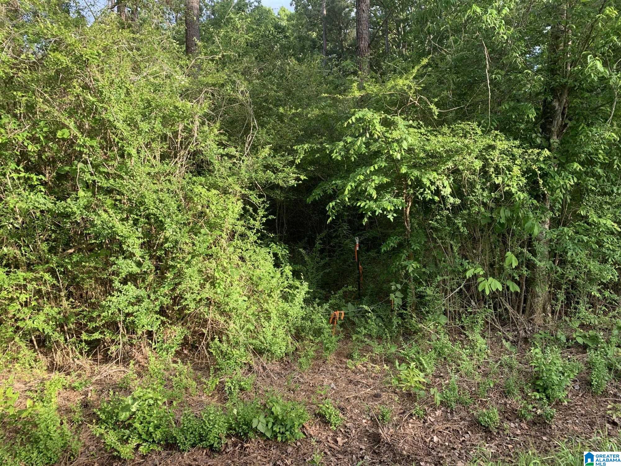 0 Ironaton Road Talladega, AL 35160 - Photo 3 of 7