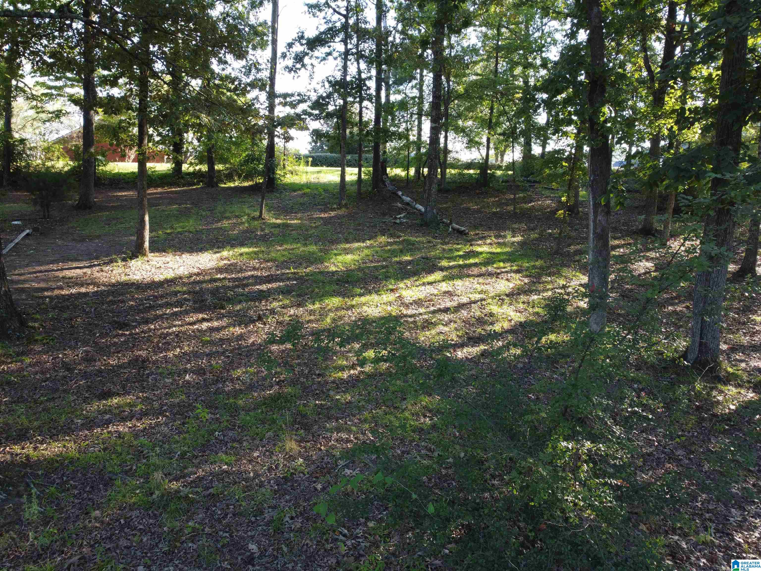 Lot 16 Riley Circle, Unit 16 Thorsby, AL 35171 - Photo 13 of 19