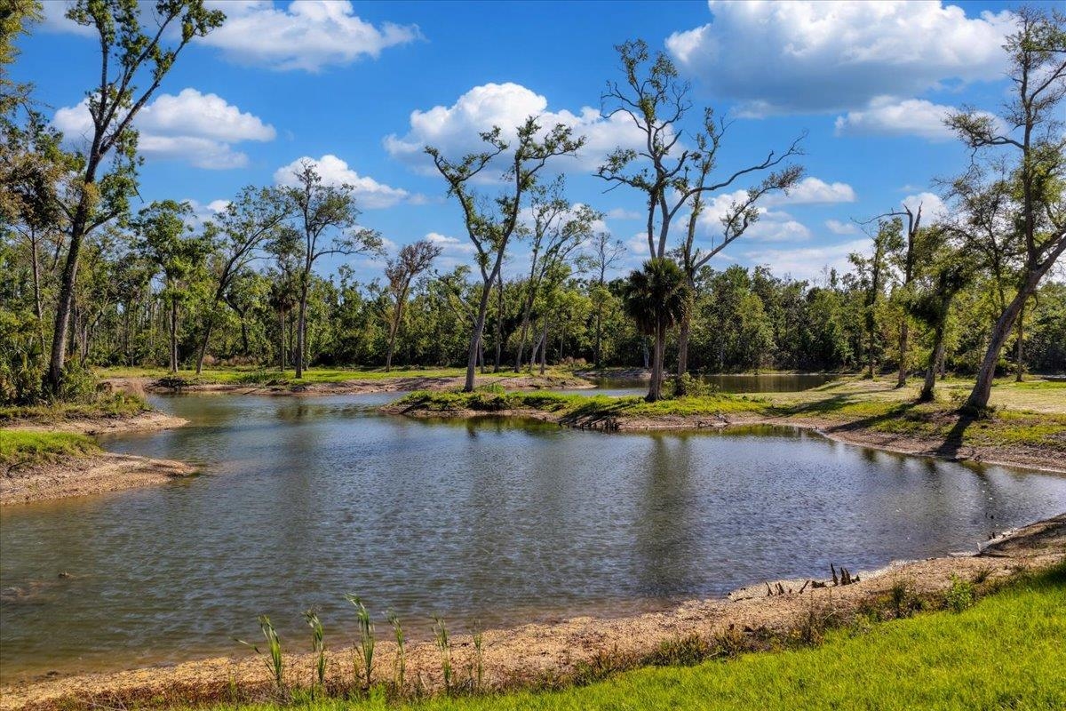 0 Northwest Roys Road Steinhatchee, FL 32359 - Photo 62 of 70