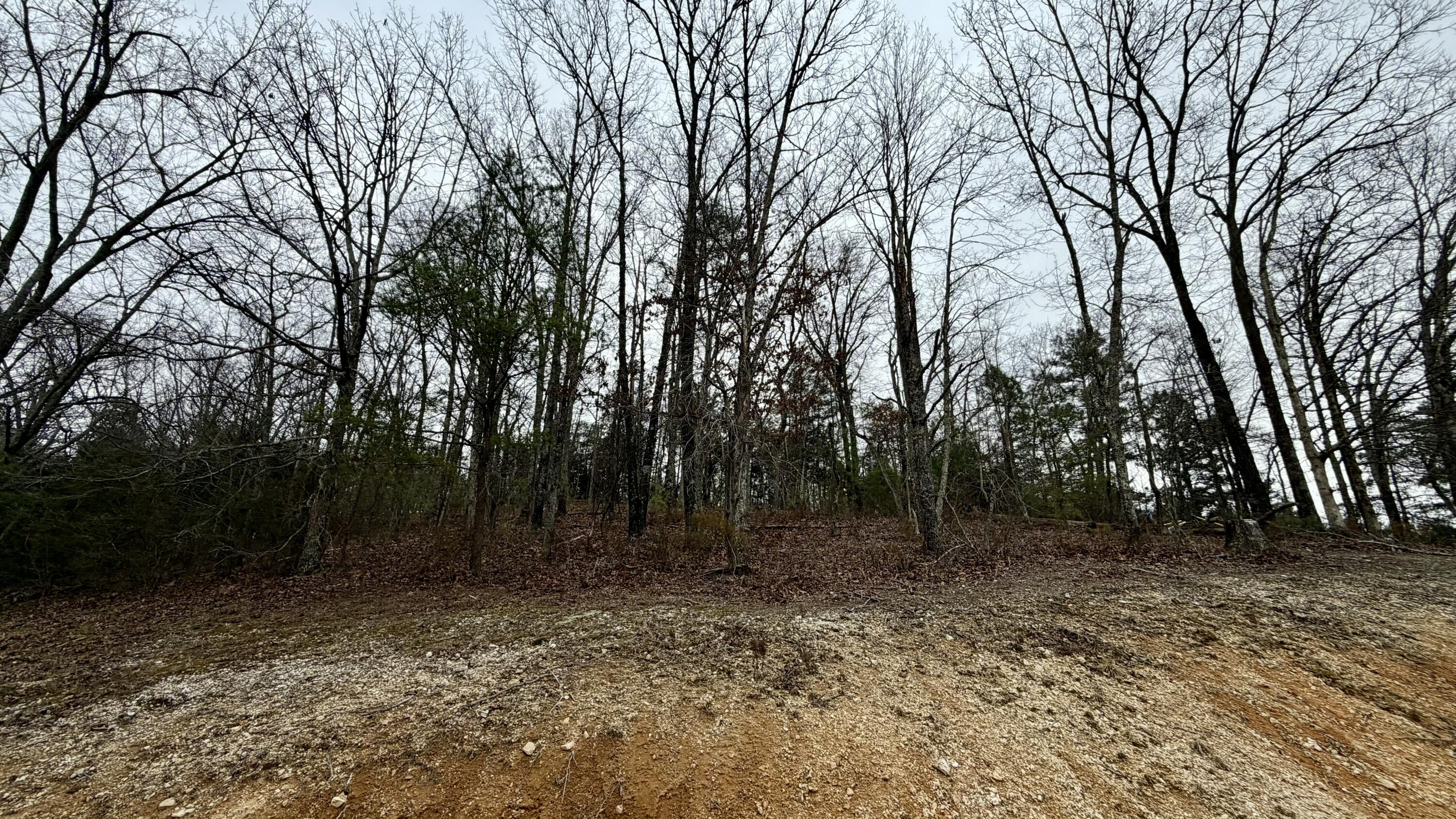 800 Old Mill Road Dayton, TN 37321 - Photo 40 of 43 IMG_5792