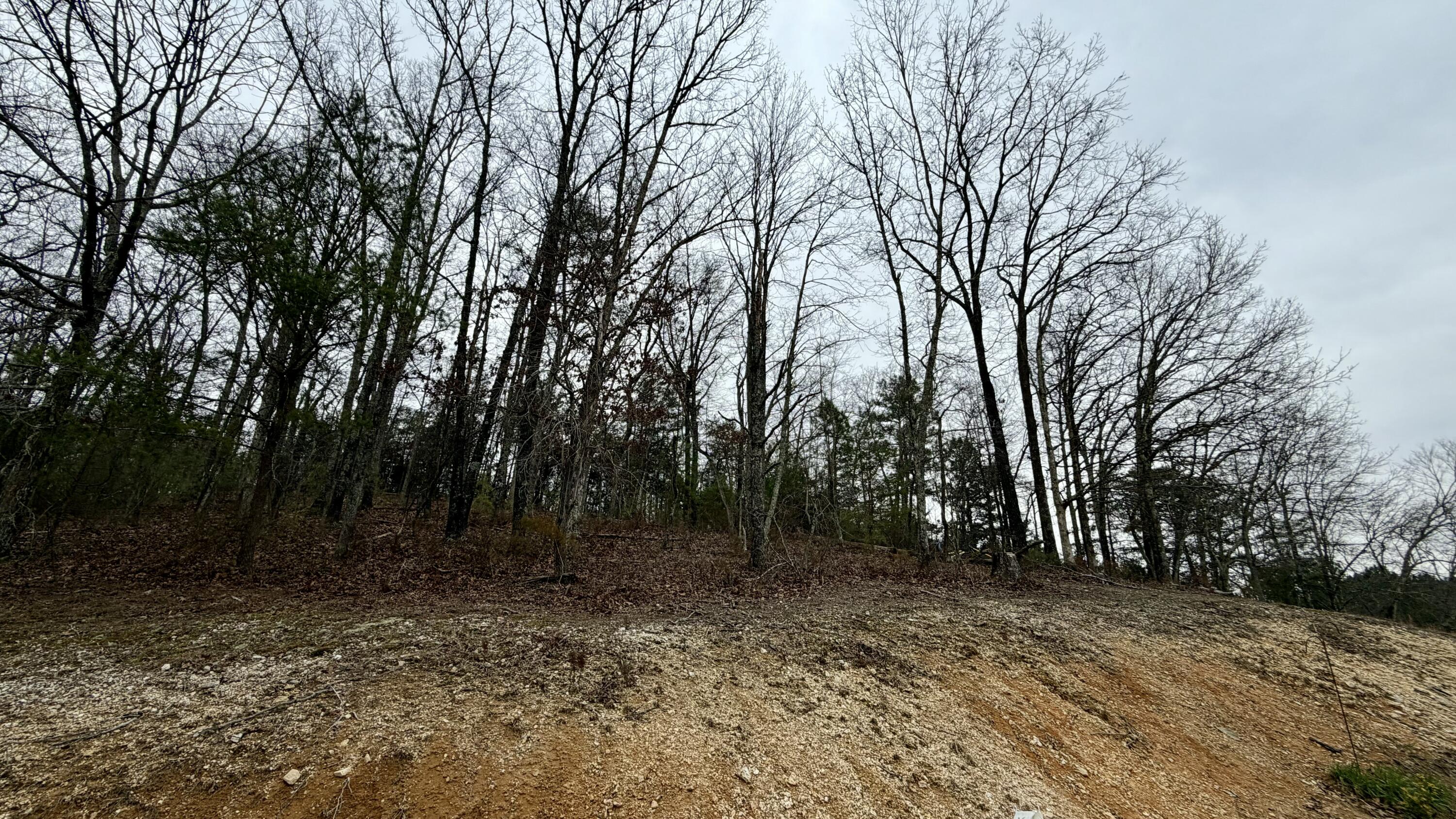 800 Old Mill Road Dayton, TN 37321 - Photo 41 of 43 IMG_5793