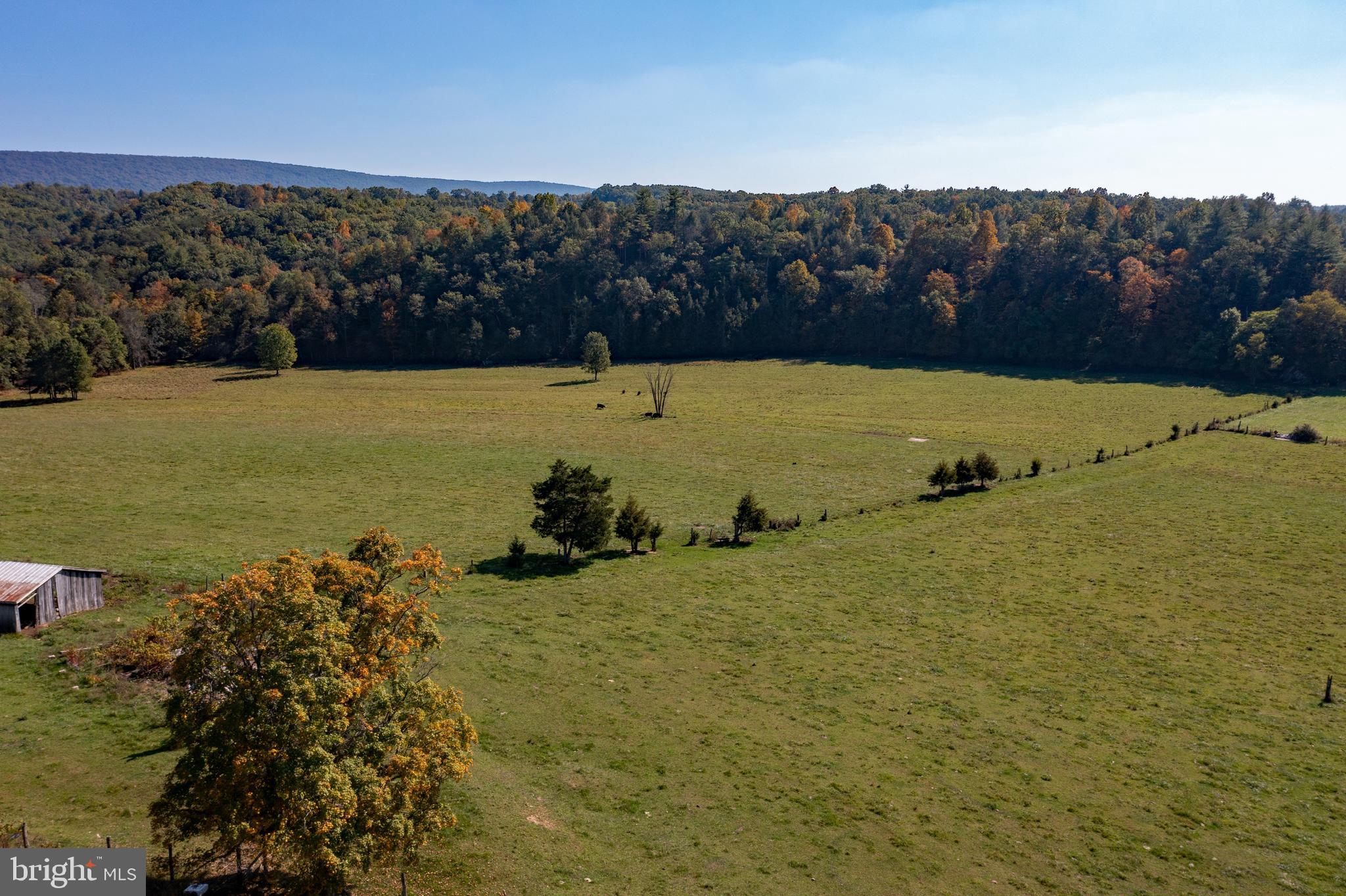 4942 Johnsons Mill Road Berkeley Springs, WV 25411 - Photo 14 of 99 Open Land