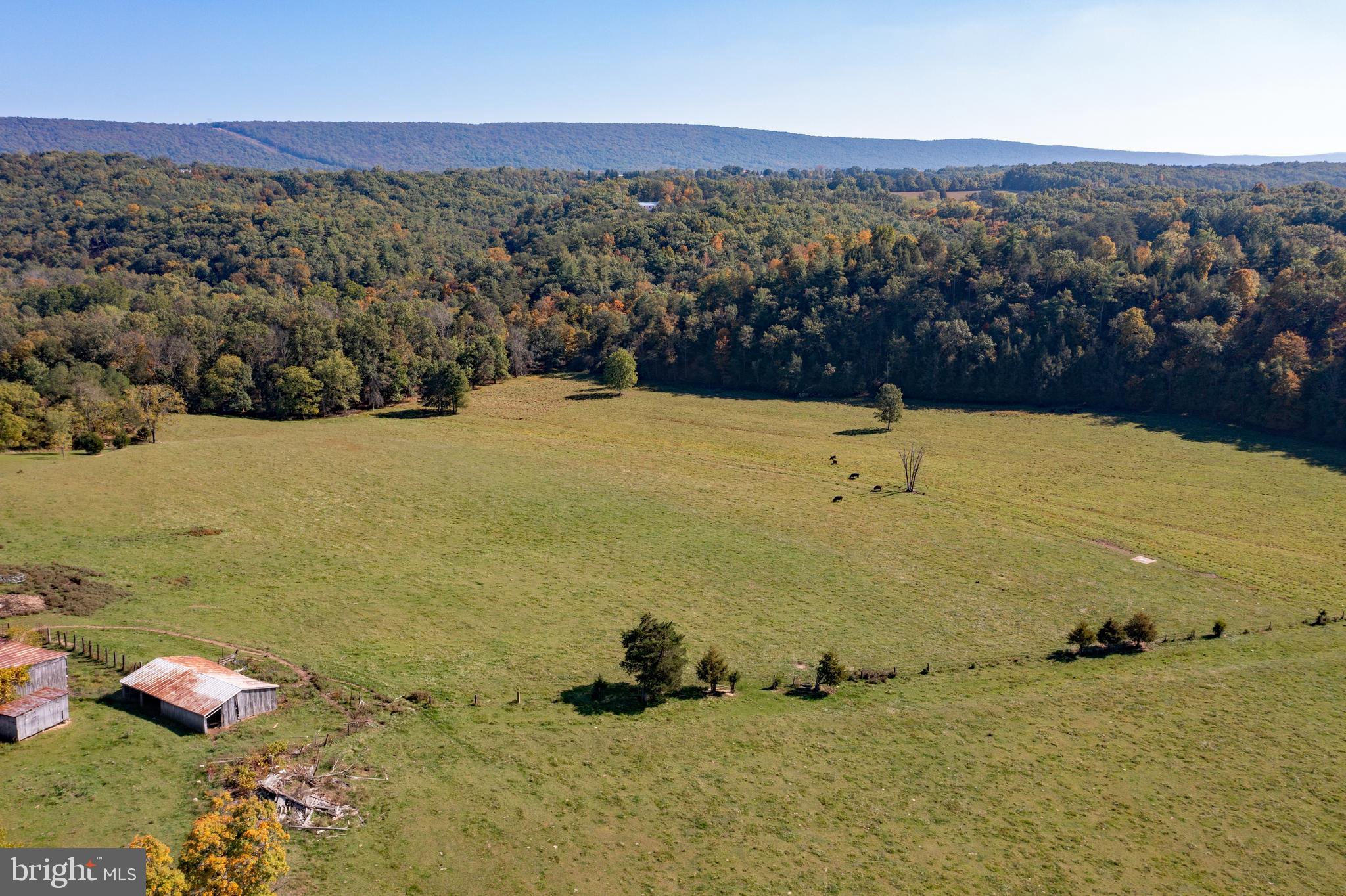 4942 Johnsons Mill Road Berkeley Springs, WV 25411 - Photo 21 of 99
