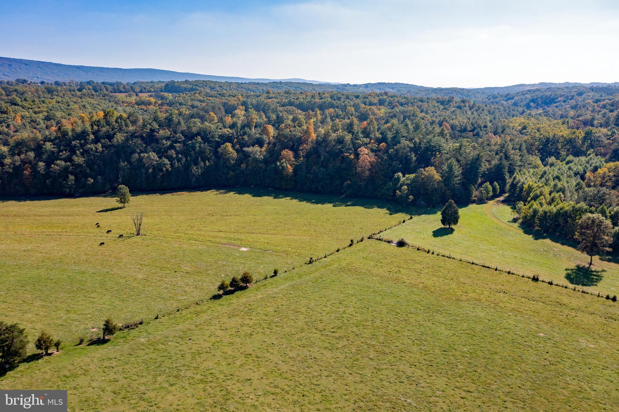 4942 Johnsons Mill Road Berkeley Springs, WV 25411 - Photo 23 of 99