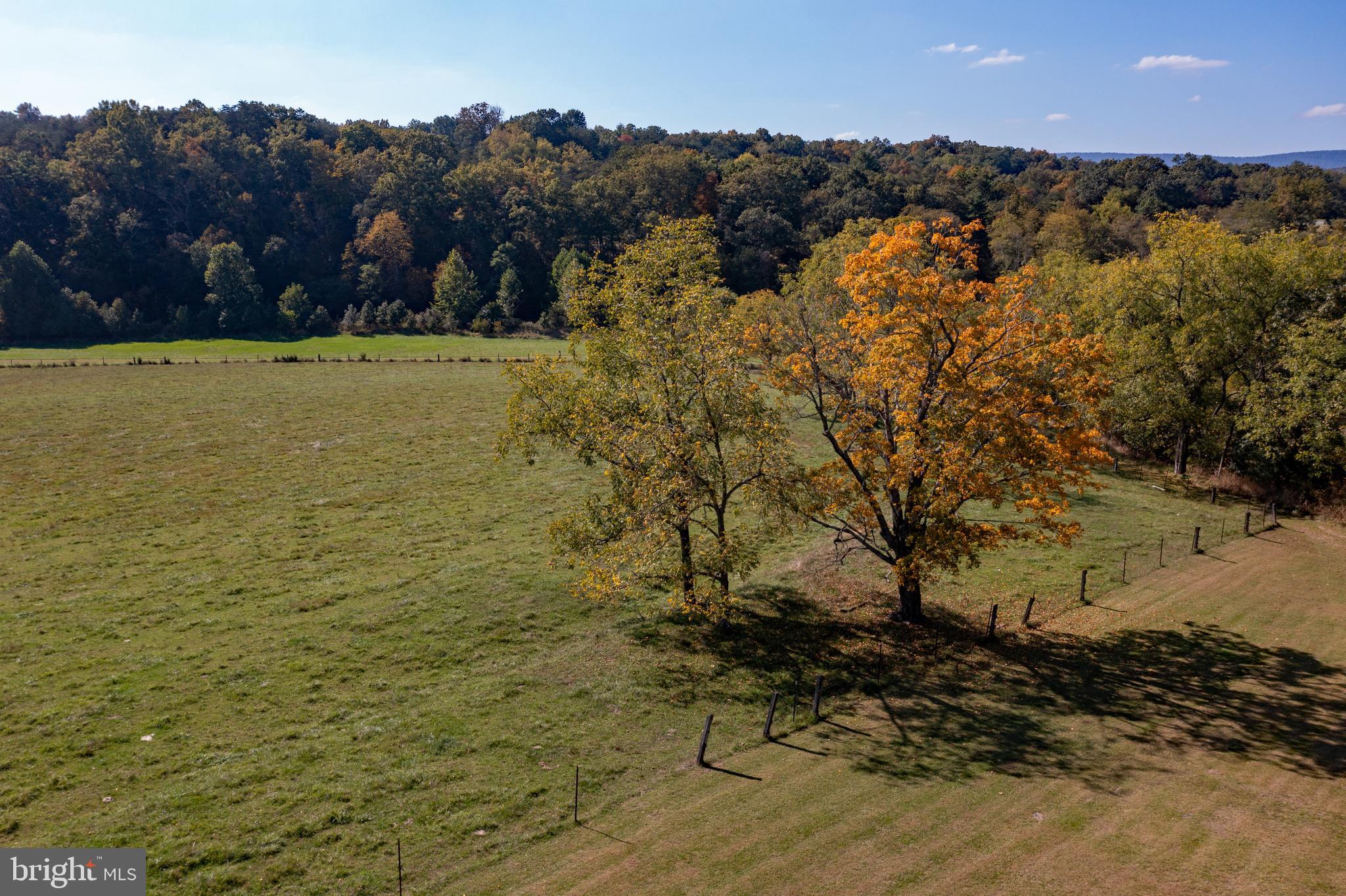 4942 Johnsons Mill Road Berkeley Springs, WV 25411 - Photo 28 of 99