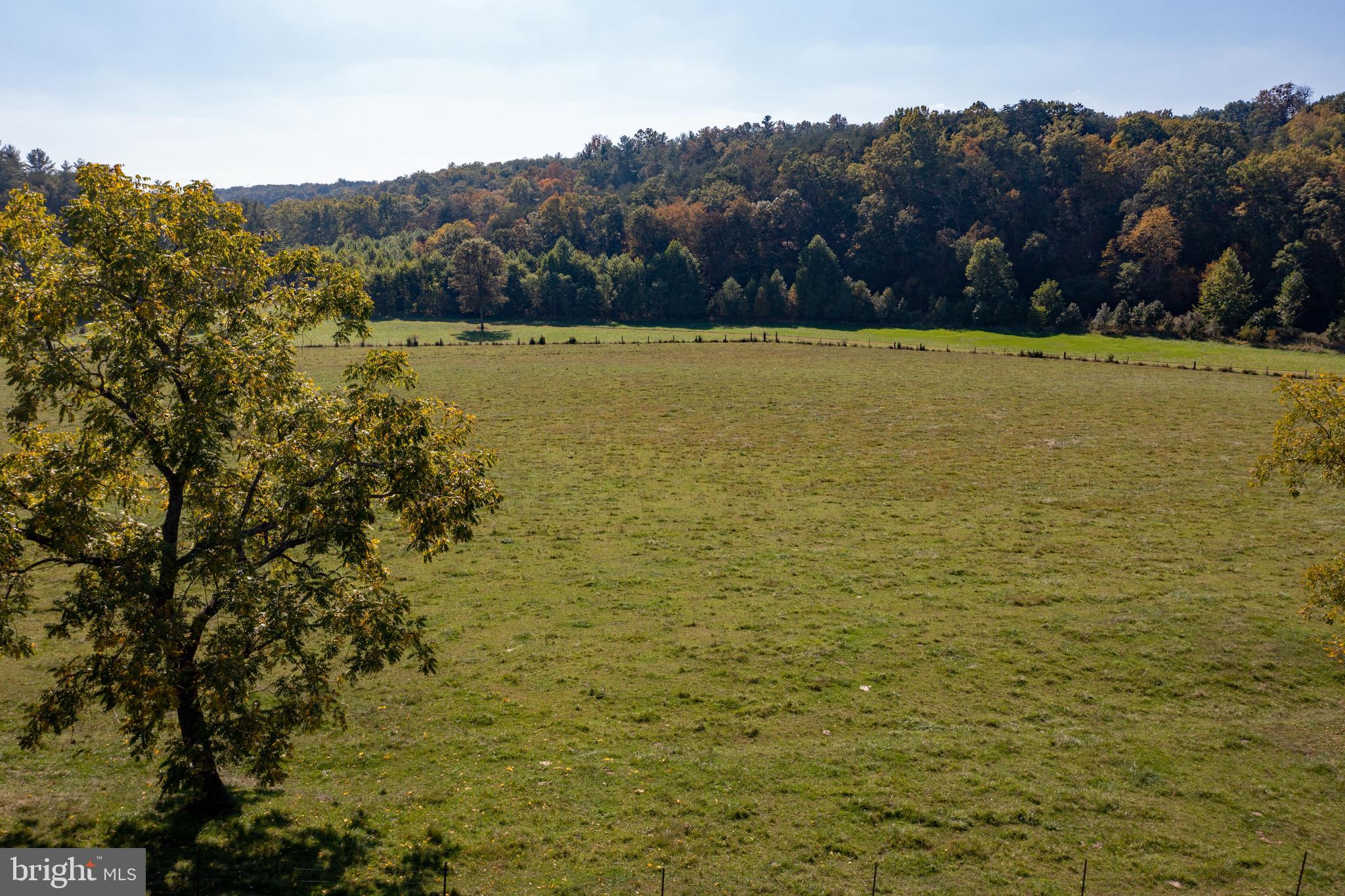 4942 Johnsons Mill Road Berkeley Springs, WV 25411 - Photo 5 of 99 Cleared land
