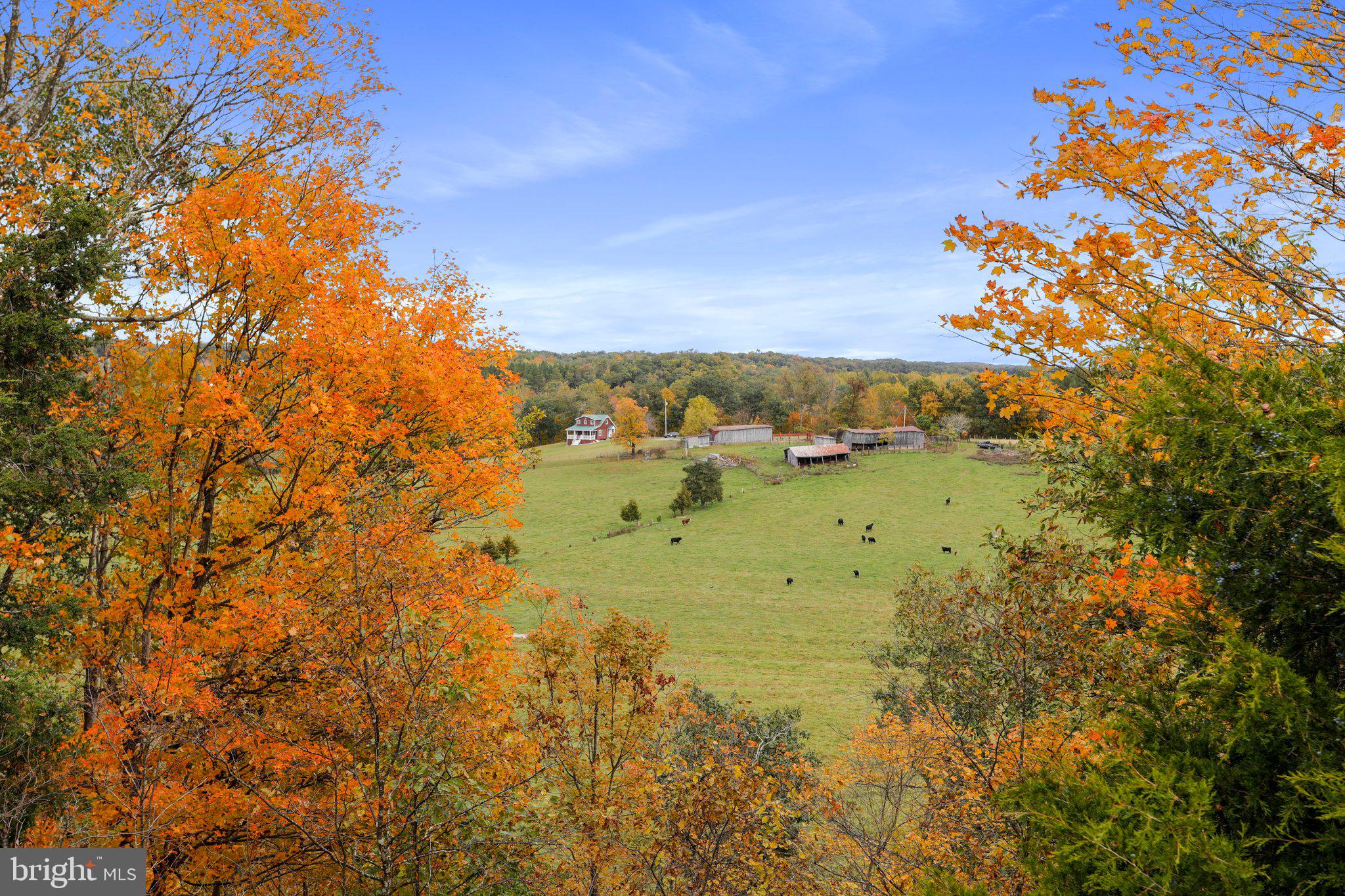 4942 Johnsons Mill Road Berkeley Springs, WV 25411 - Photo 87 of 99 Breath of fresh air