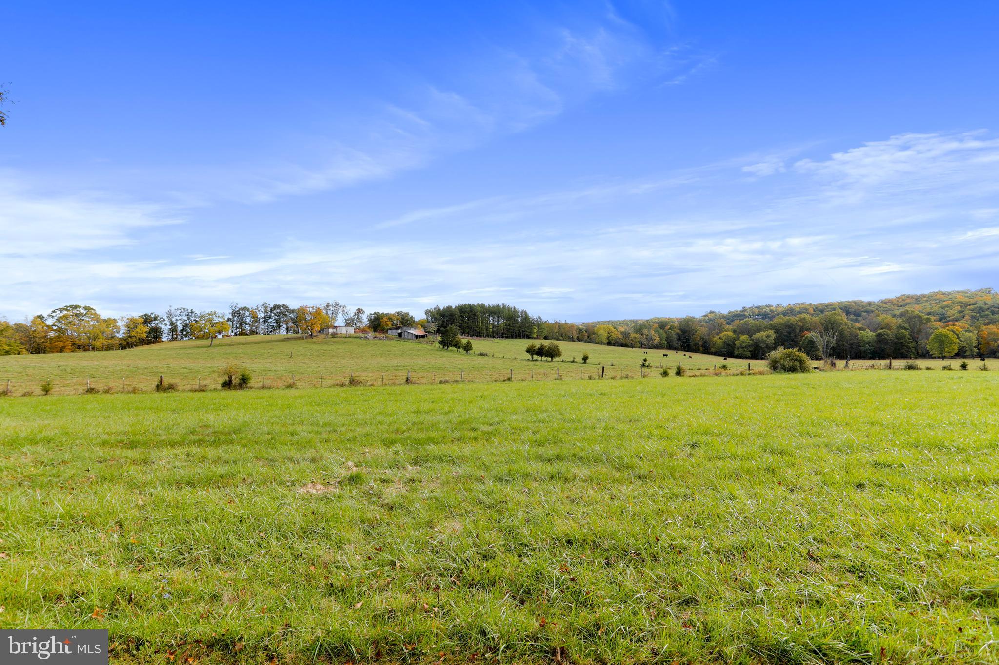 4942 Johnsons Mill Road Berkeley Springs, WV 25411 - Photo 88 of 99 Cleared Land