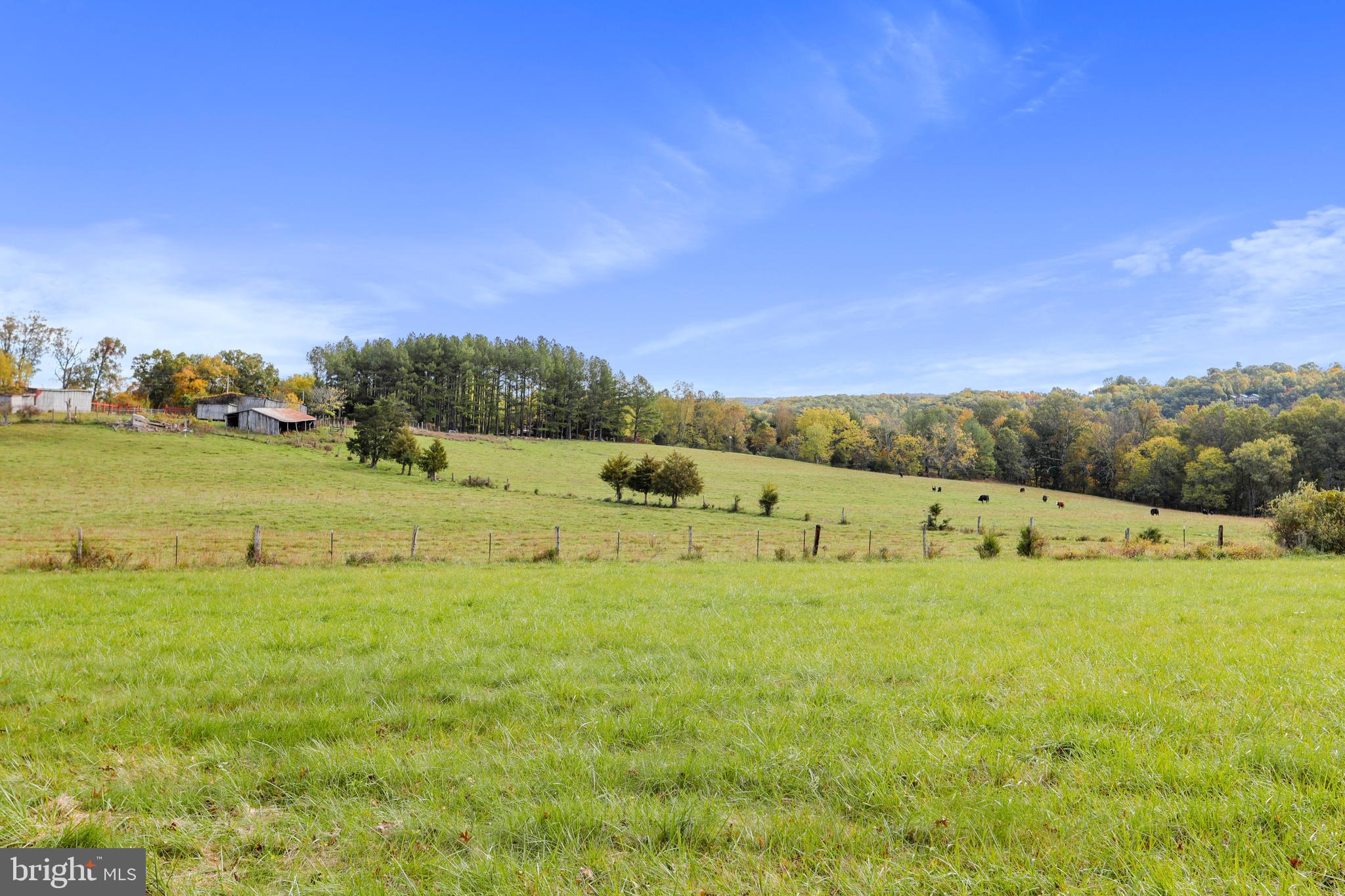 4942 Johnsons Mill Road Berkeley Springs, WV 25411 - Photo 90 of 99
