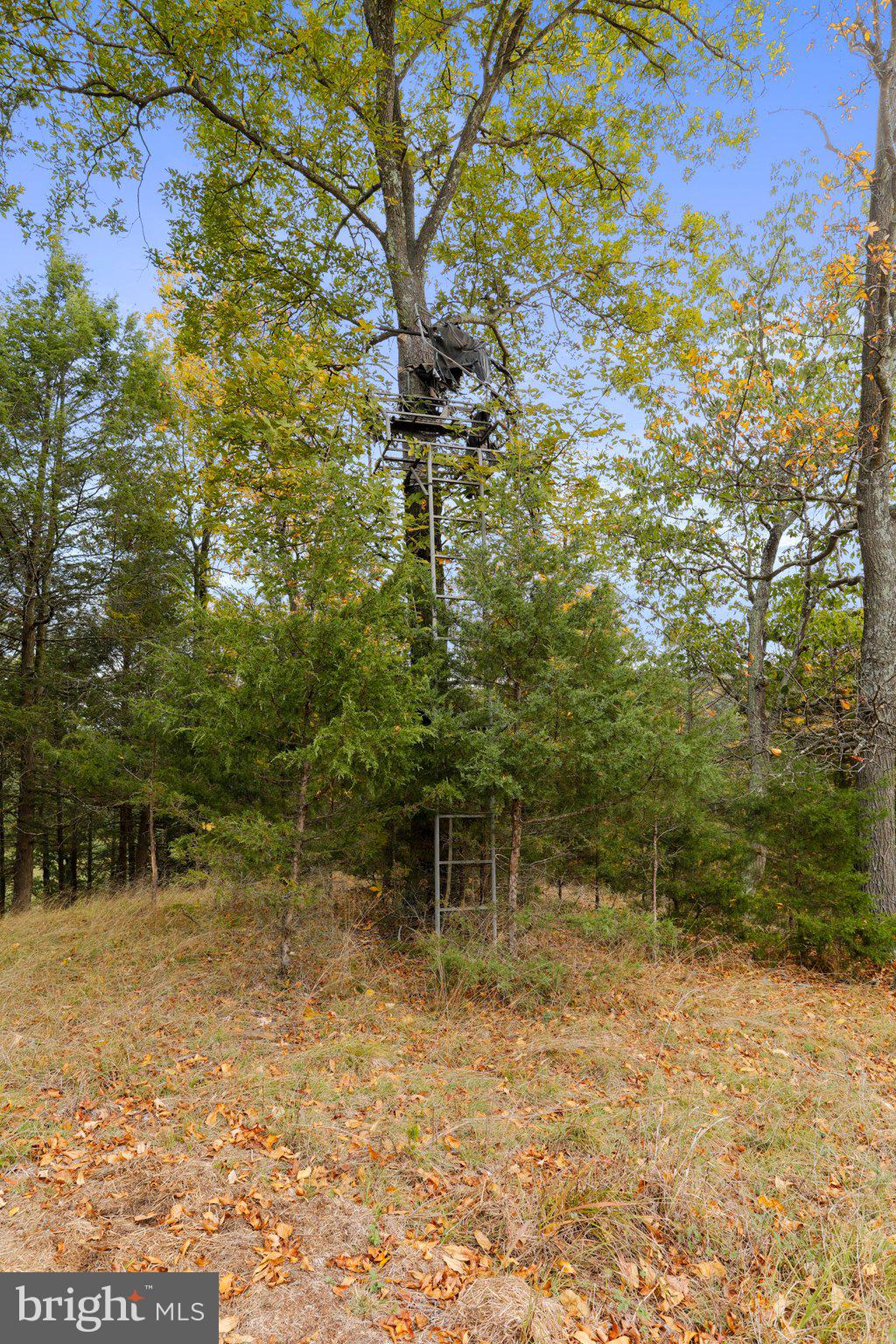 4942 Johnsons Mill Road Berkeley Springs, WV 25411 - Photo 93 of 99 Hunting