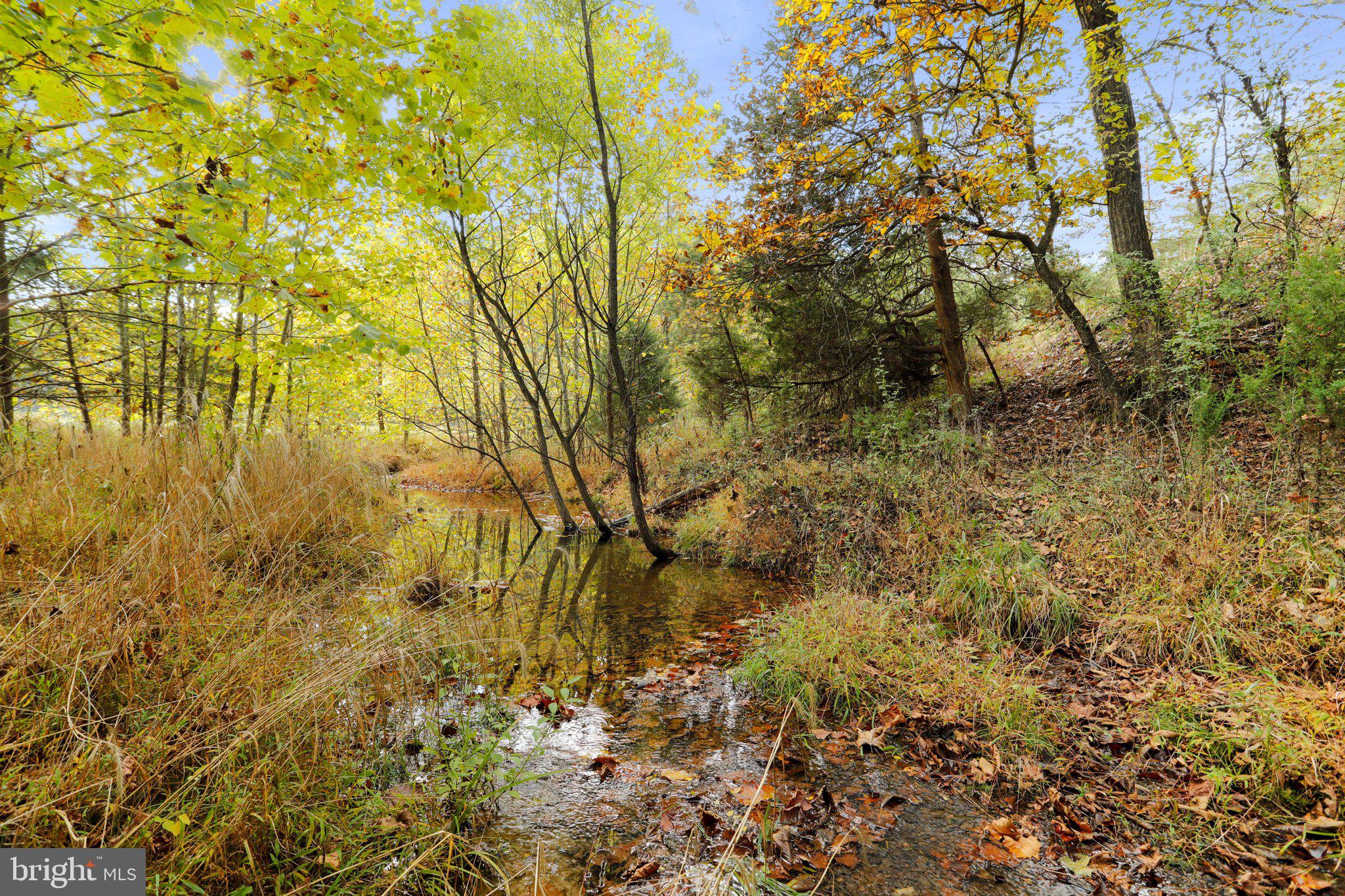 4942 Johnsons Mill Road Berkeley Springs, WV 25411 - Photo 95 of 99 Natural stream