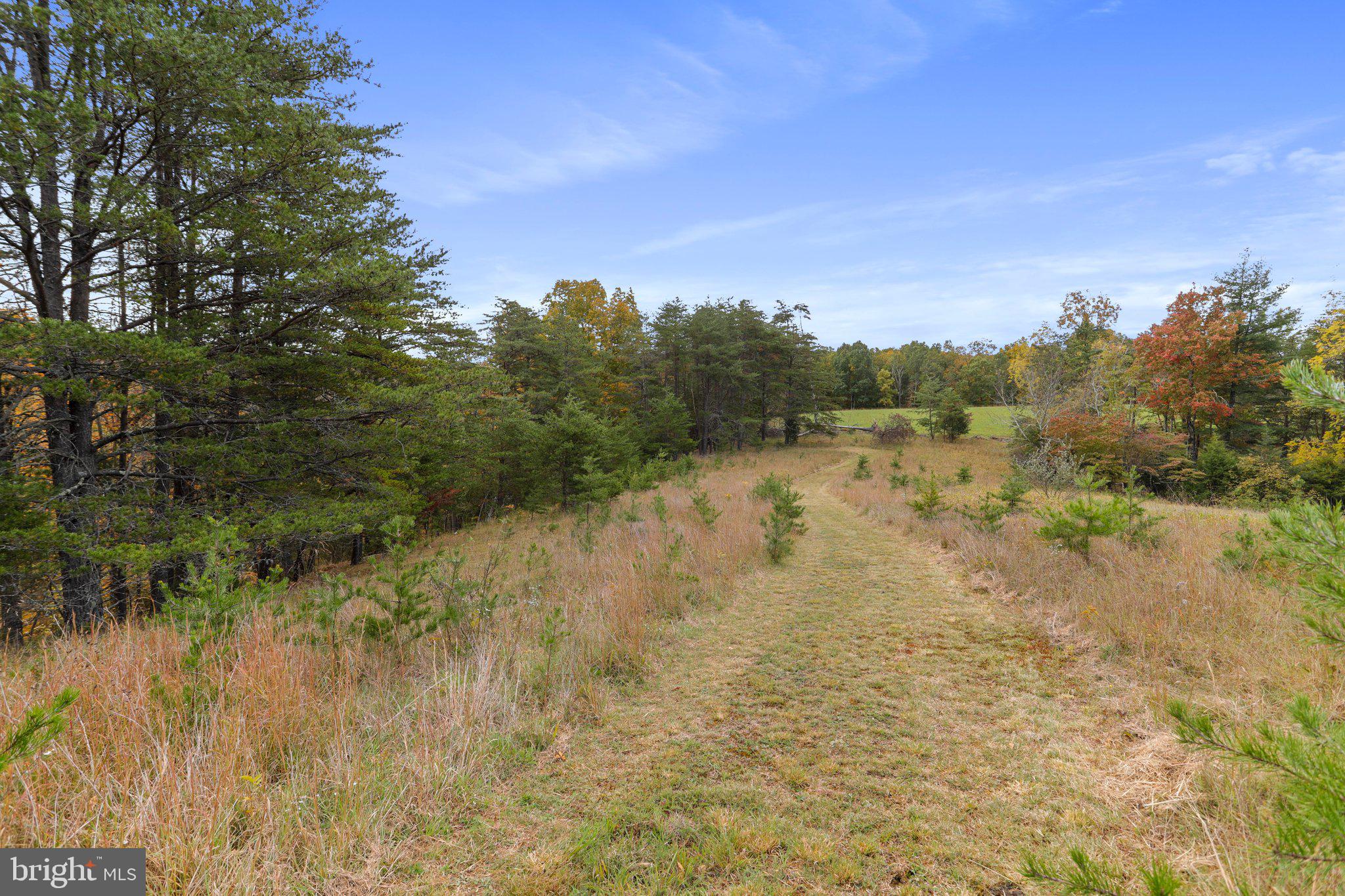 4942 Johnsons Mill Road Berkeley Springs, WV 25411 - Photo 96 of 99