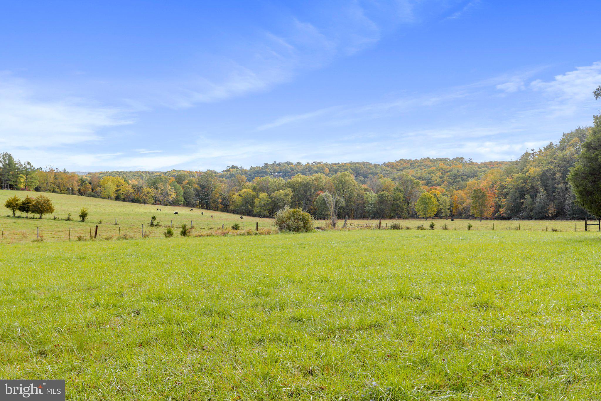 4942 Johnsons Mill Road Berkeley Springs, WV 25411 - Photo 99 of 99 58 acres