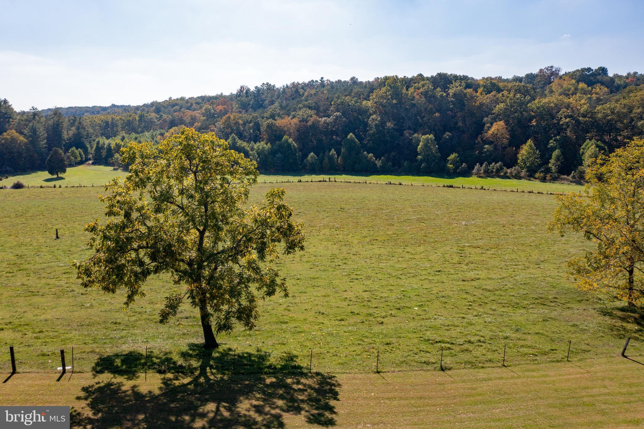 4942 Johnsons Mill Road Berkeley Springs, WV 25411 - Photo 10 of 99 Bring your cattle.....