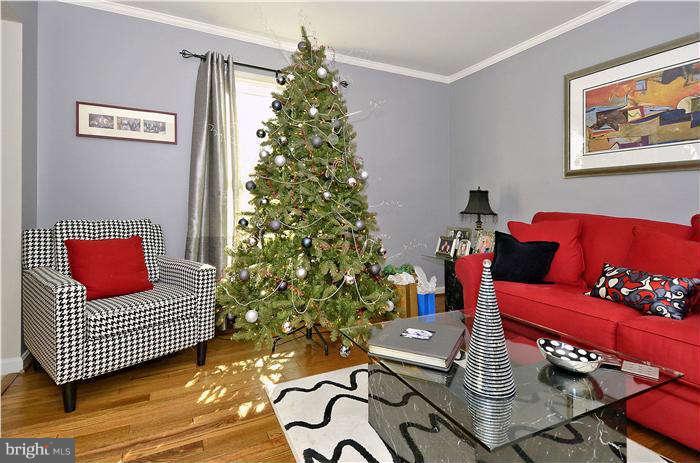 2204 Countryside Drive Silver Spring, MD 20905 - Photo 5 of 29 a living room with furniture and a potted plant