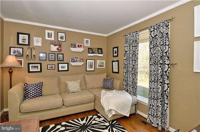 2204 Countryside Drive Silver Spring, MD 20905 - Photo 6 of 29 a living room with furniture and a potted plant