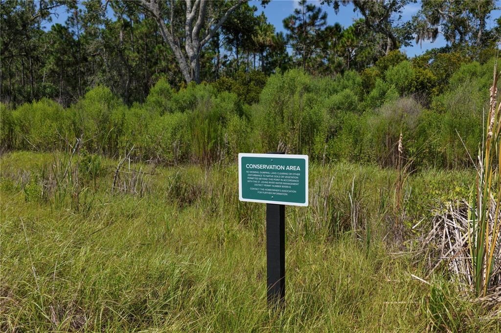 89 Coronado Road Flagler Beach, FL 32136 - Photo 31 of 47 Gallery Image 31