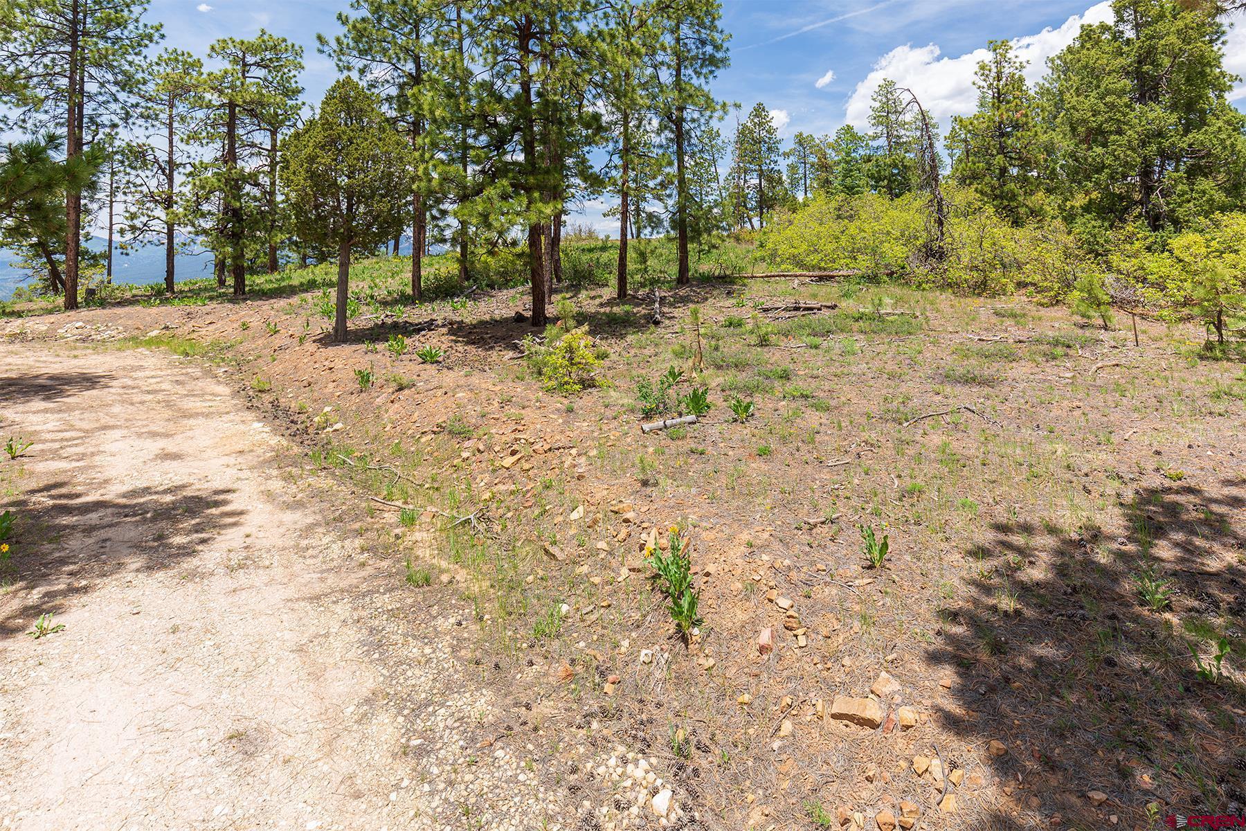3111 Durango Cliffs Drive Durango, CO 81301 - Photo 12 of 35 a view of road and trees