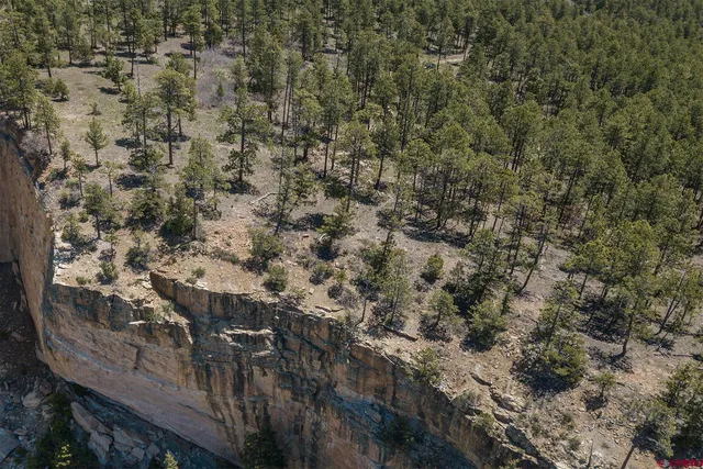 a view of a sky from a yard