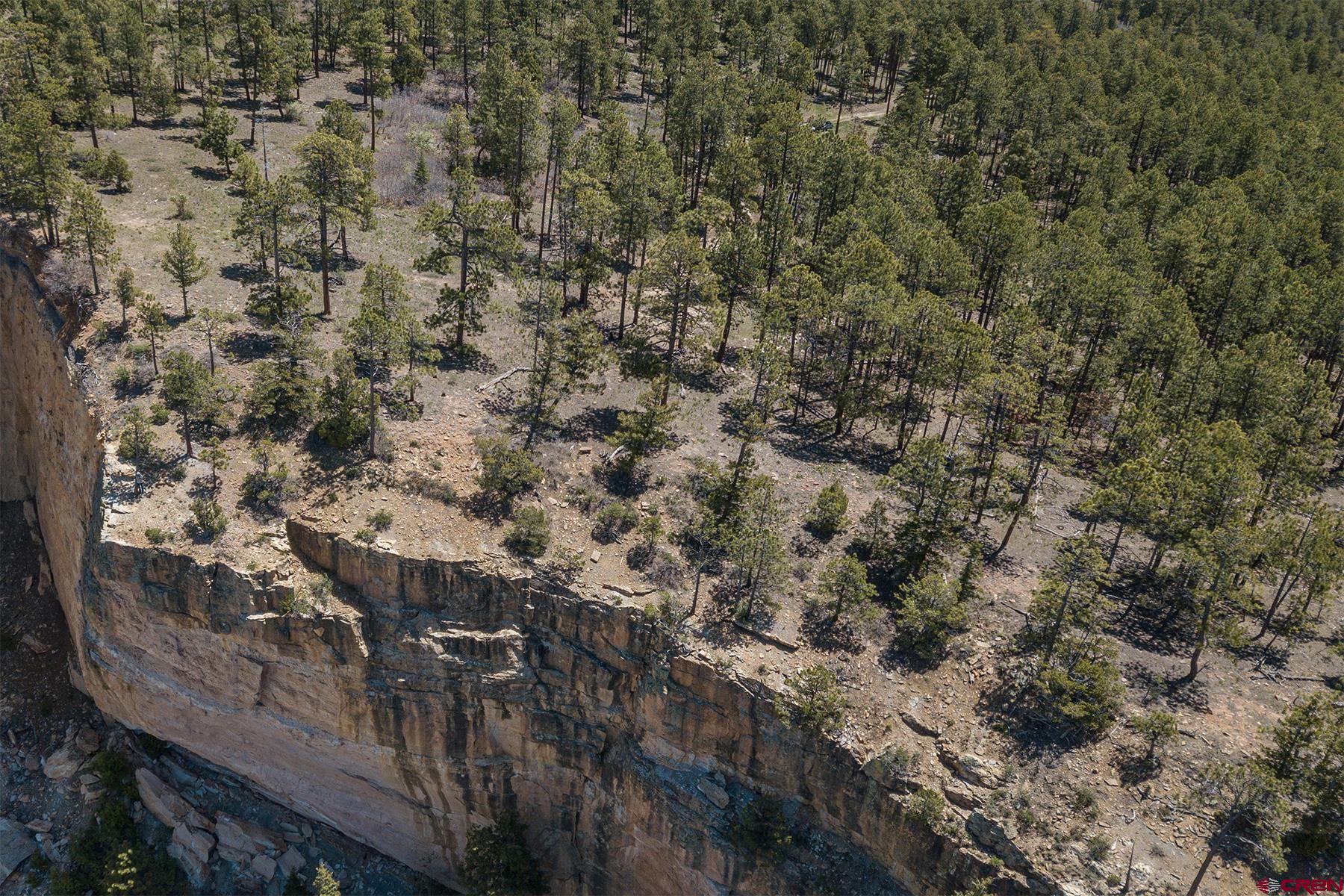 3111 Durango Cliffs Drive Durango, CO 81301 - Photo 16 of 35