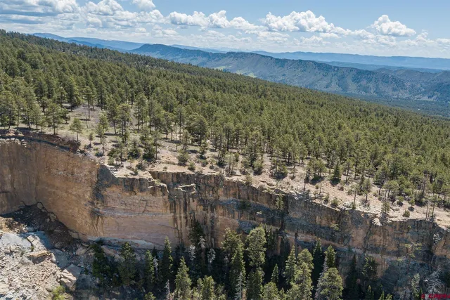 a view of yard with green space