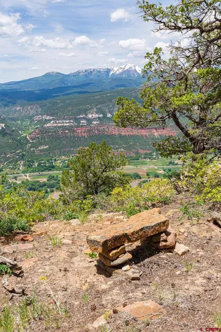 a view of a garden with an trees