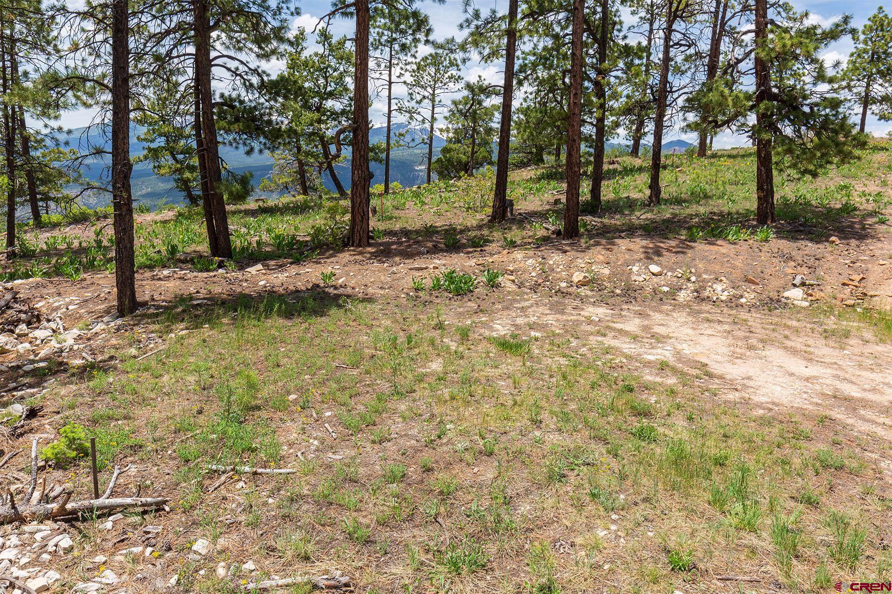 3111 Durango Cliffs Drive Durango, CO 81301 - Photo 34 of 35 a view of a tree in a yard
