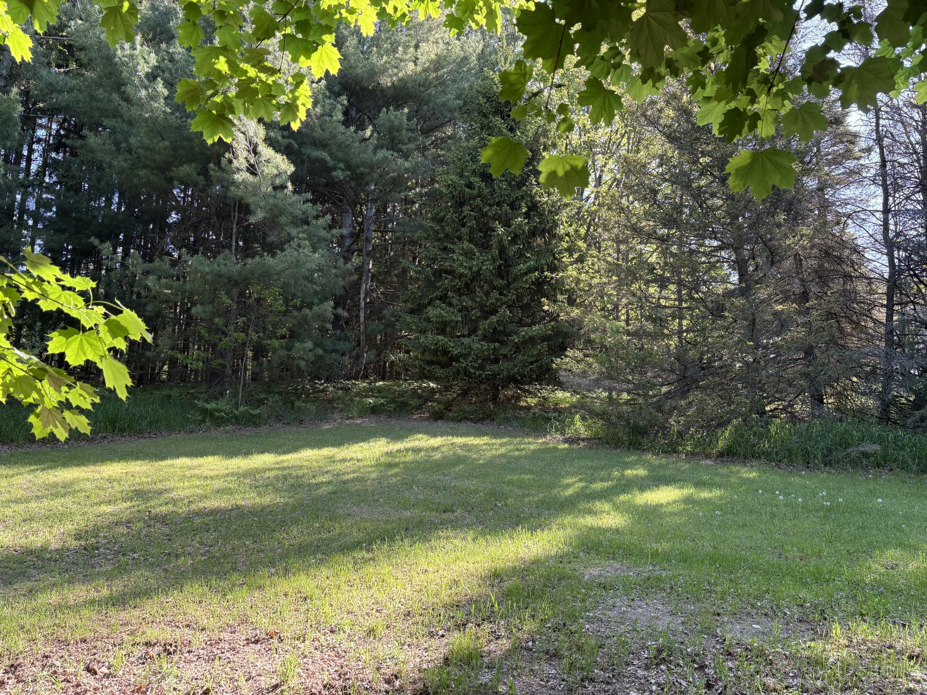 8819 Erdman Road Onekama, MI 49675 - Photo 58 of 61 IMG_8782