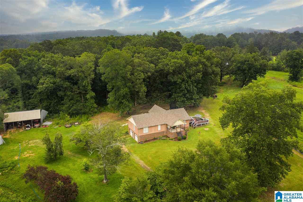 3408 Highway 1 Oneonta Al Oneonta, AL 35121 - Photo 44 of 50