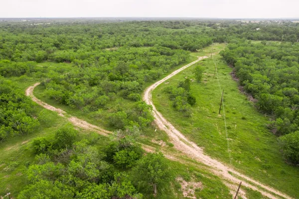 a view of a lush green forest with trees and some houses